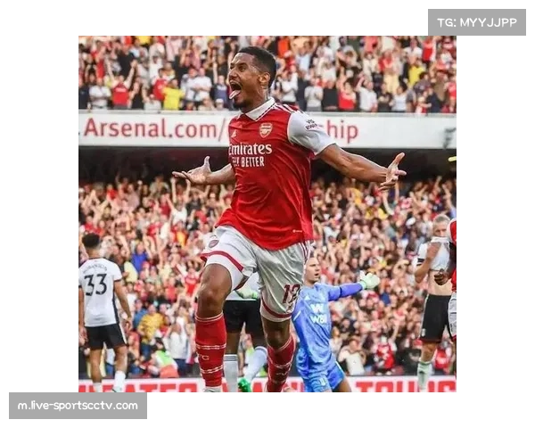 阿森纳阵容深度经受多线考验 新生代球员崛起提供轮换保障 阿森纳阵容深度经受多线考验 新生代球员崛起提供轮换保障